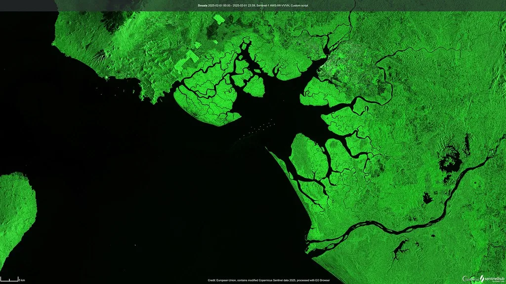 Vue satellite de l’estuaire du Wouri, golfe de Guinée